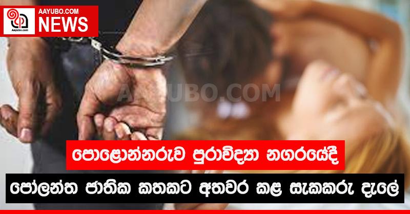 පොළොන්නරුව පුරාවිද්‍යා නගරයේදී පෝලන්ත ජාතික කතකට අතවර කළ සැකකරු දැලේ