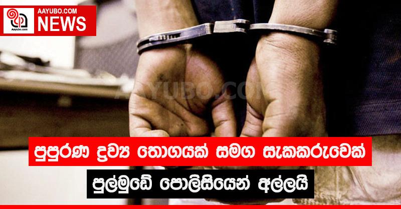 පුපුරණ ද්‍රව්‍ය තොගයක් සමග සැකකරුවෙක් පුල්මුඩේ පොලිසියෙන් අල්ලයි