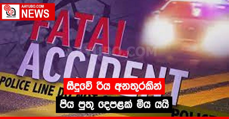 සීදූවේ රිය අනතුරකින් පිය පුතු දෙපළක් මිය යයි