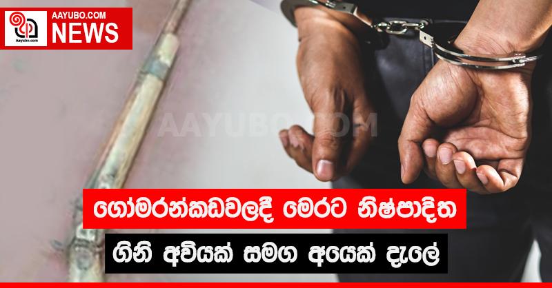 ගෝමරන්කඩවලදී මෙරට නිෂ්පාදිත ගිනි අවියක් සමග අයෙක් දැලේ
