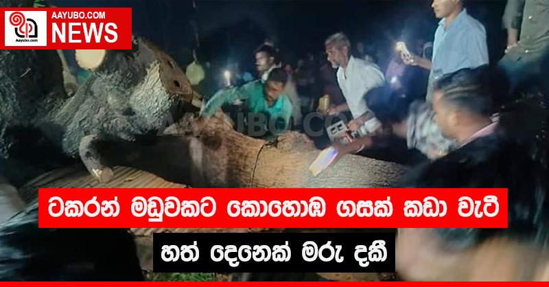 ටකරන් මඩුවකට කොහොඹ ගහක් කඩා වැටී හත් දෙනෙක් මරු දකී