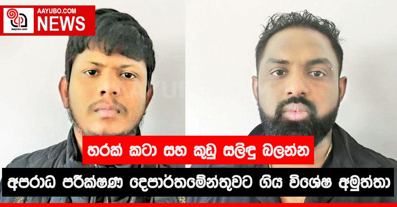 හරක් කටා සහ කුඩු සලිඳු බලන්න අපරාධ පරීක්ෂණ දෙපාර්තමේන්තුවට ගිය විශේෂ අමුත්තා