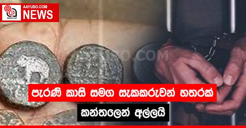 පැරණි කාසි සමග සැකකරුවන් හතරක් කන්තලෙන් අල්ලයි