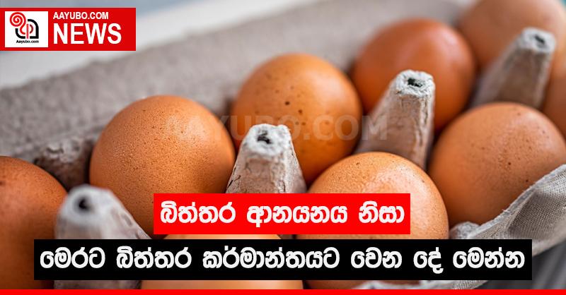 බිත්තර ආනයනය නිසා මෙරට බිත්තර කර්මාන්තයට වෙන දේ මෙන්න