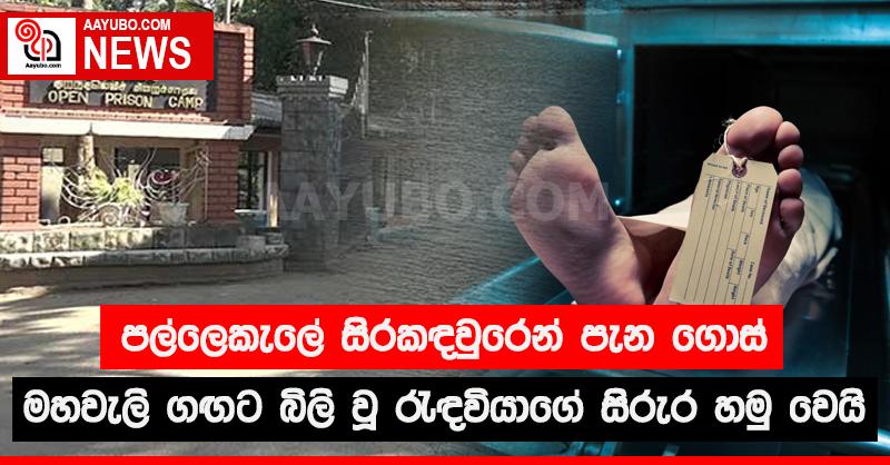 පල්ලෙකැලේ සිරකඳවුරෙන් පැන ගොස් මහවැලි ගඟට බිලි වූ රැඳවියාගේ සිරුර හමු වෙයි