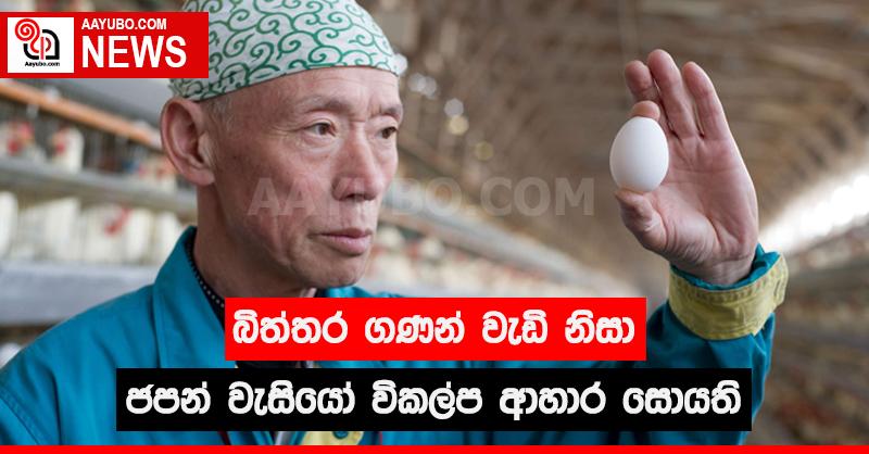 බිත්තර ගණන් වැඩි නිසා ජපන් වැසියෝ විකල්ප ආහාර සොයති