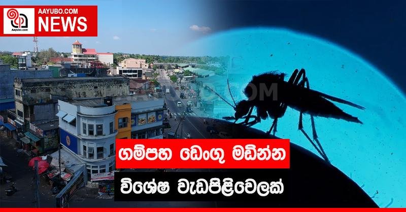 ගම්පහ ඩෙංගු මඩින්න විශේෂ වැඩපිළිවෙලක්