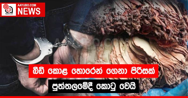 බීඩි කොළ හොරෙන් ගෙනා පිරිසක් පුත්තලමේදී කොටුවෙයි