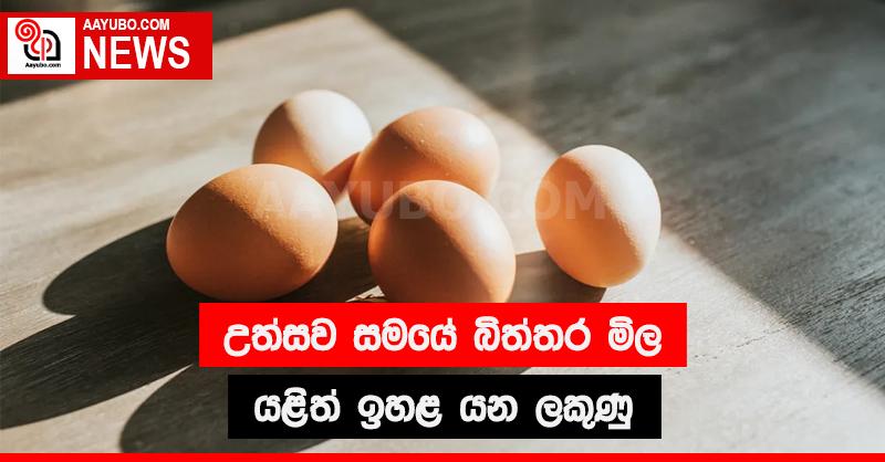 උත්සව සමයේ බිත්තර මිල යළිත් ඉහළ යන ලකුණු