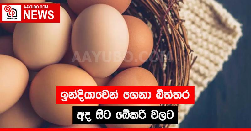ඉන්දියාවෙන් ගෙනා බිත්තර අද සිට බේකරි වලට