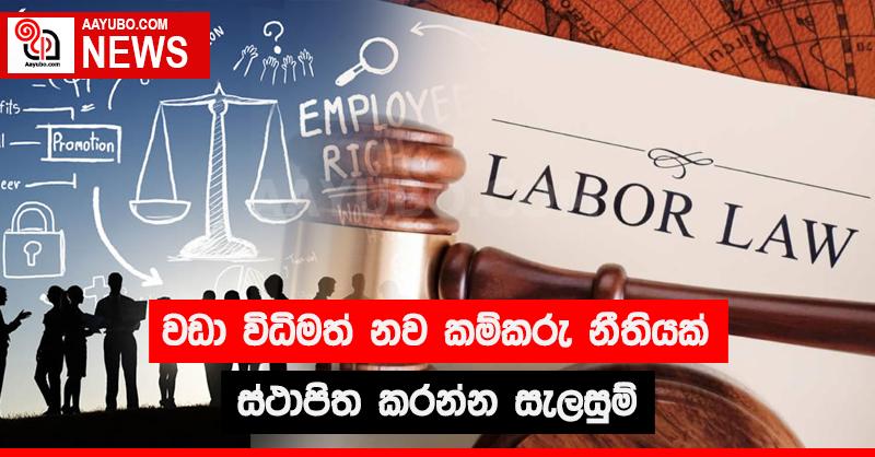 වඩා විධිමත් නව කම්කරු නීතියක් ස්ථාපිත කරන්න සැලසුම්