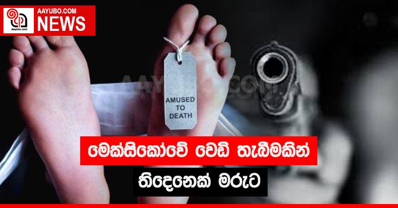 මෙක්සිකෝවේ වෙඩි තැබීමකින් තිදෙනෙක් මරුට