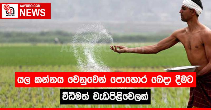 යල කන්නය වෙනුවෙන් පොහොර බෙදා දීමට විධිමත් වැඩපිළිවෙලක්