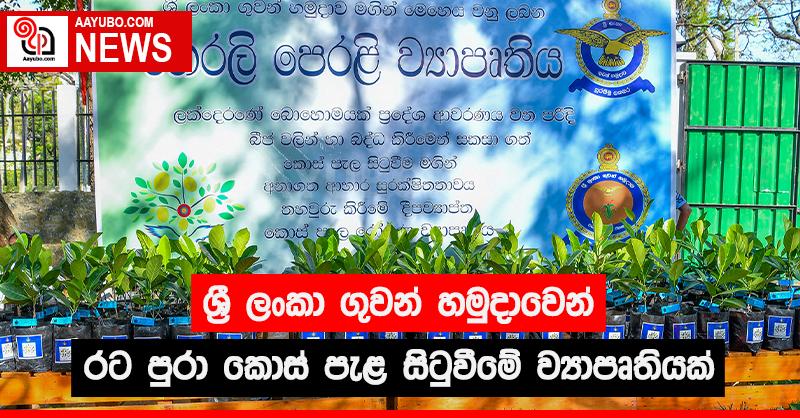 ශ්‍රී ලංකා ගුවන් හමුදාවෙන් රට පුරා කොස් පැළ සිටුවීමේ ව්‍යාපෘතියක්
