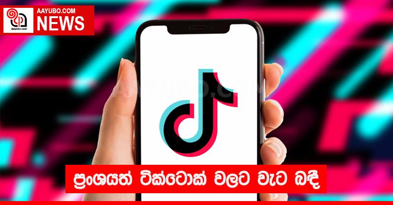 ප්‍රංශයත් ටික්ටොක් වලට වැට බඳී