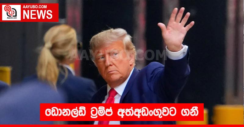 ඩොනල්ඩ් ට්‍රම්ප් අත්අඩංගුවට ගනී