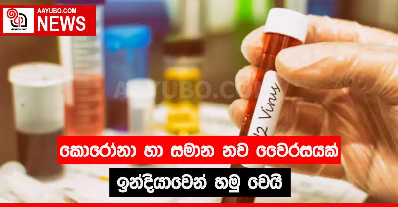 කොරෝනා හා සමාන නව වෛරසයක් ඉන්දියාවෙන් හමු වෙයි