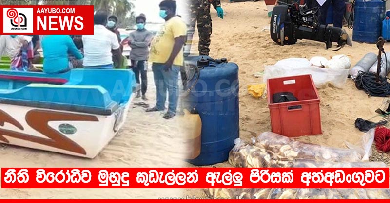 නීති විරෝධීව මුහුදු කූඩැල්ලන් ඇල්ලූ පිරිසක් අත්අඩංගුවට