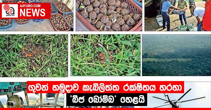 ගුවන් හමුදාව කැබිලිත්ත රක්ෂිතය හරහා "බීජ බෝම්බ" හෙළයි
