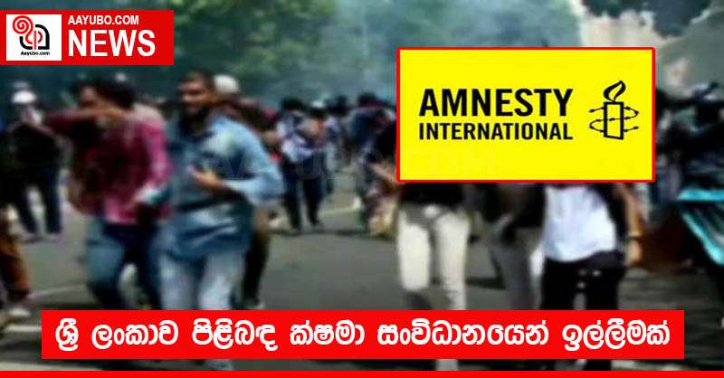 ශ්‍රී ලංකාව පිළිබඳ ක්ෂමා සංවිධානයෙන් ඉල්ලීමක් 