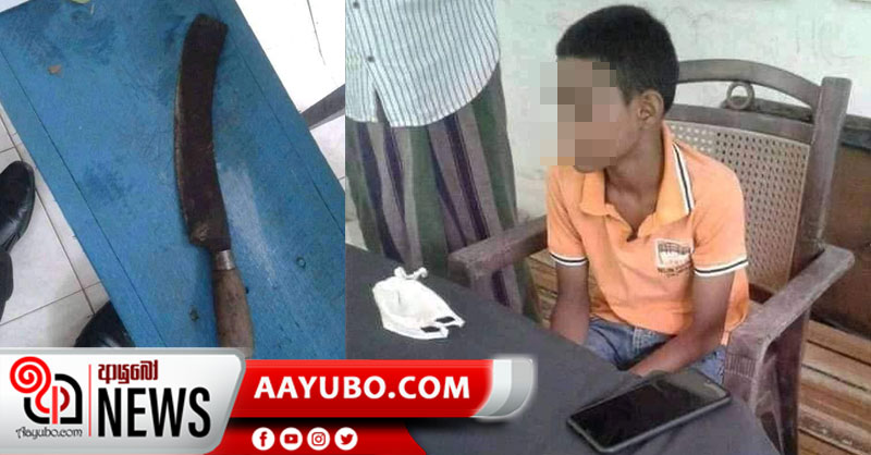 නිකවැරටියෙ සමන් ඇතුළු සිඟිති පාතාලයේ 4ක් අත්අඩංගුවට 