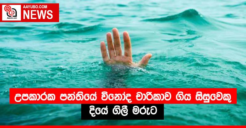 උපකාරක පන්තියේ විනෝද චාරිකාව ගිය සිසුවෙකු දියේ ගිලී මරුට