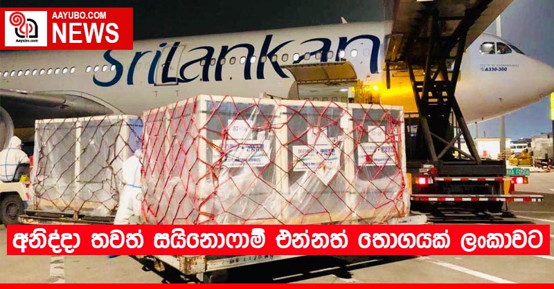 අනිද්දා තවත් සයිනොෆාම් එන්නත් තොගයක් ලංකාවට