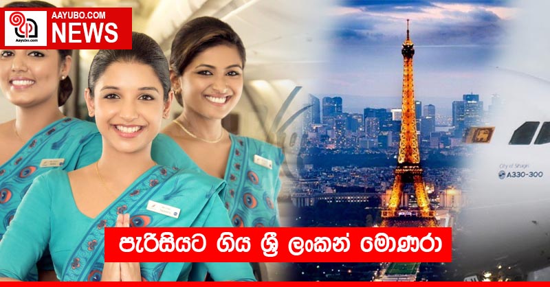 පැරීසියට ගිය ශ්‍රී ලංකන් මොණරා