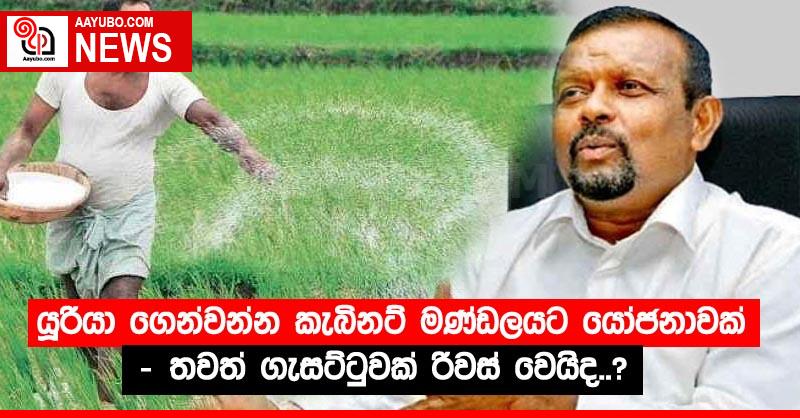 යූරියා ගෙන්වන්න කැබිනට් මණ්ඩලයට යෝජනාවක් - තවත් ගැසට්ටුවක් රිවස් වෙයිද..?