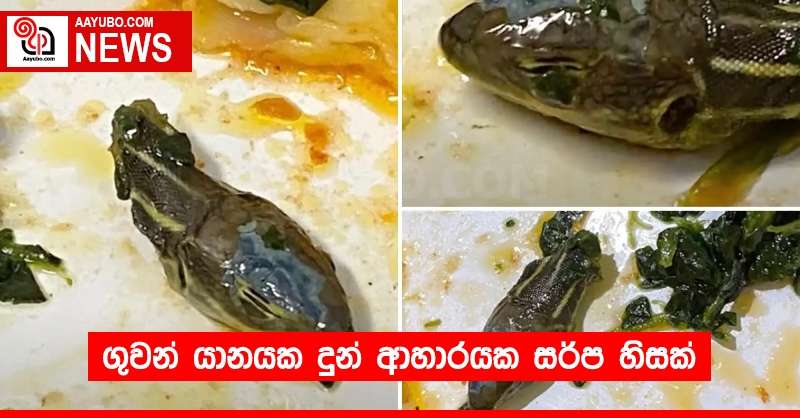 ගුවන් යානයක දුන් ආහාරයක සර්ප හිසක්