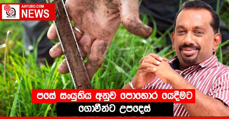 පසේ සංයුතිය අනුව පොහොර යෙදීමට ගොවීන්ට උපදෙස්