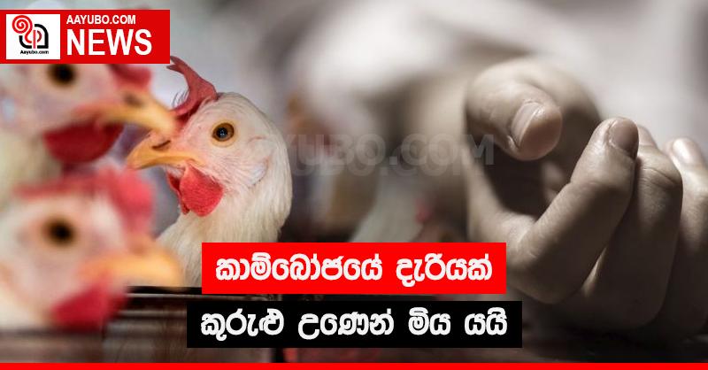 කාම්බෝජයේ දැරියක් කුරුළු උණෙන් මිය යයි