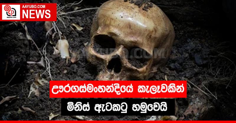 ඌරගස්මංහන්දියේ කැලෑවකින් මිනිස් ඇටකටු හමු වෙයි