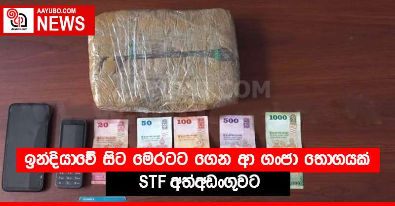 ඉන්දියාවේ සිට මෙරටට ගෙන ආ ගංජා තොගයක් STF අත්අඩංගුවට