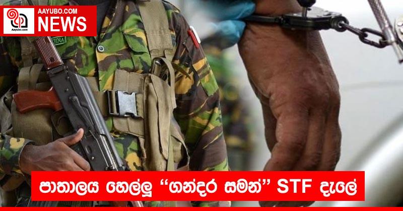 පාතාලය හෙල්ලූ ගන්දර සමන් STF දැලේ