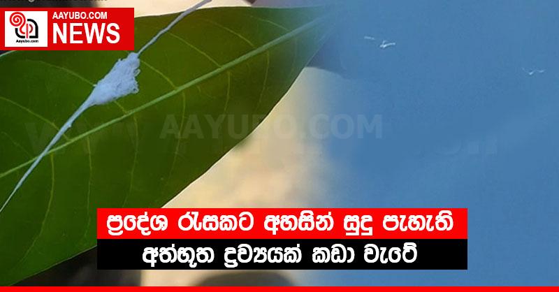 ප්‍රදේශ රැසකට අහසින් සුදු පැහැති අත්භූත ද්‍රව්‍යයක් කඩා වැටේ
