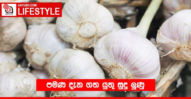පමණ දැන ගත යුතු සුදු ලූණු 