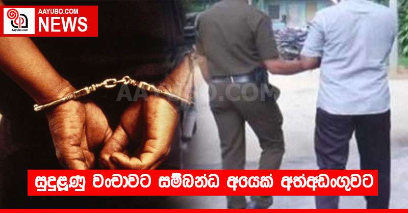 සුදුළූණු වංචාවට සම්බන්ධ අයෙක් අත්අඩංගුවට