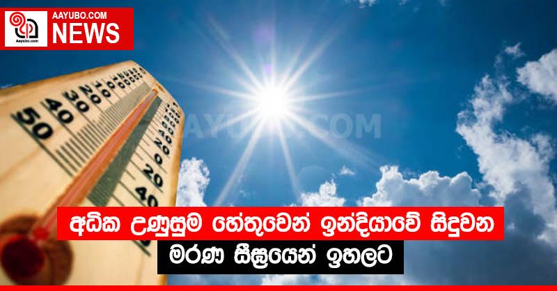 අධික උණුසුම හේතුවෙන් ඉන්දියාවේ සිදුවන මරණ සීඝ්‍රයෙන් ඉහලට