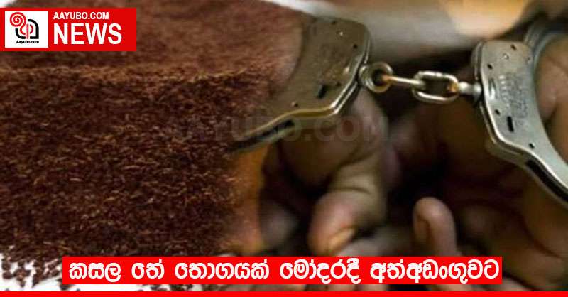 කසල තේ තොගයක් මෝදරදී අත්අඩංගුවට 