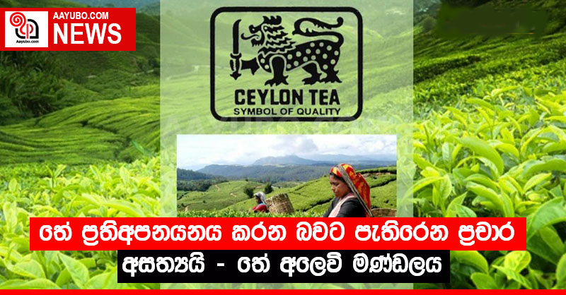 තේ ප්‍රතිඅපනයනය කරන බවට පැතිරෙන ප්‍රචාර අසත්‍යයි - තේ අලෙවි මණ්ඩලය