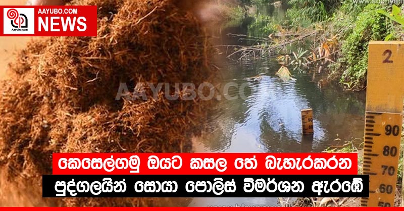 කෙසෙල්ගමු ඔයට කසල තේ බැහැරකර පුද්ගලයින් සොයා පොලිස් විමර්ශන ඇරඹේ