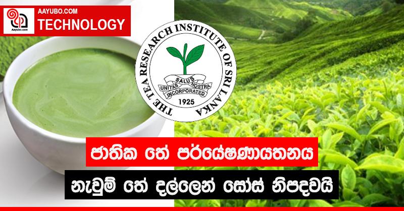 ජාතික තේ පර්යේෂණායතනය නැවුම් තේ දල්ලෙන් සෝස් නිපදවයි