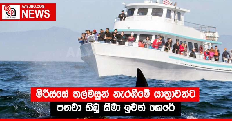 මිරිස්සේ තල්මසුන් නැරඹීමේ යාත්‍රාවන් ට පනවා තිබූ සීමා ඉවත් කෙරේ