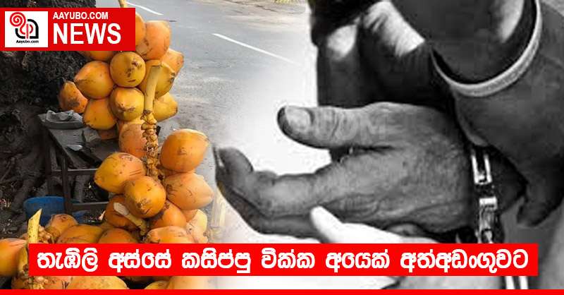 තැඹිලි අස්සේ කසිප්පු වික්ක අයෙක් අත්අඩංගුවට