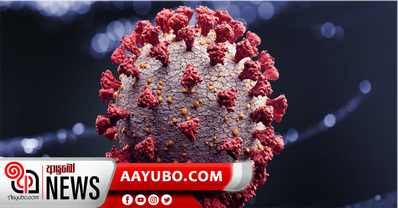 නව ආසාදිතයින් 536ක්