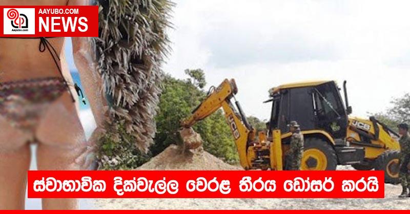 ස්වාභාවික දික්වැල්ල වෙරළ තීරය ඩෝසර් කරයි