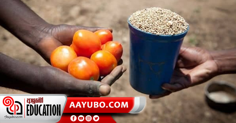7 ශ්‍රේණිය - ඉතිහාසය: ශ්‍රී ලංකාවේ පැවැති වෙළඳාම 