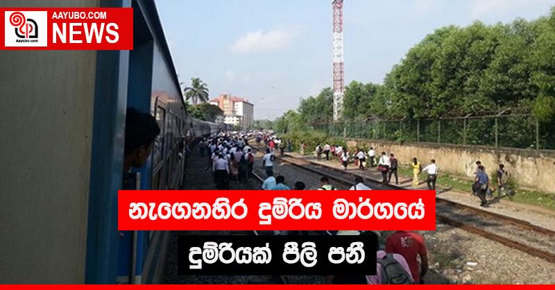 නැගෙනනහිර දුම්රිය මාර්ගයේ දුම්රියක් පීලි පනී 