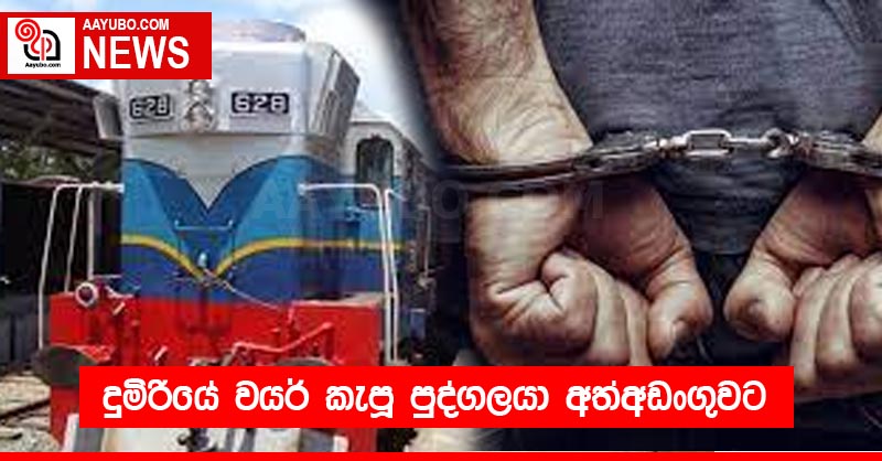 දුමිරියේ වයර් කැපූ පුද්ගලයා අත්අඩංගුවට